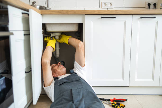 Best Drain Cleaning Services  in Woodlands, CA