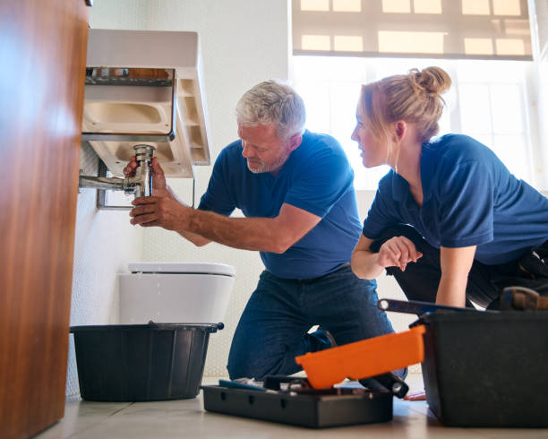 Best Toilet Repair Services  in Woodlands, CA